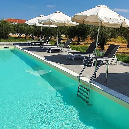 Eleonas Suites Sarti Ngoại thất bức ảnh